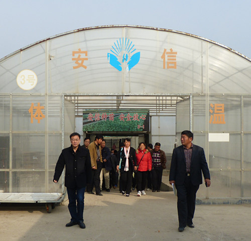 淄博市高青科協(xié)農業(yè)考察團參觀安信辣椒苗基地