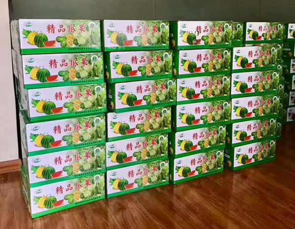 河南禮品香甜瓜上市啦！優(yōu)質(zhì)甜瓜苗創(chuàng)造高收益